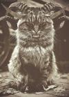  . The Ideas Of Surrealism