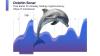      Dolphin Sonar