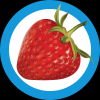 Telegram бот - Strawberry Logic