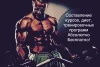Telegram канал - SportLive