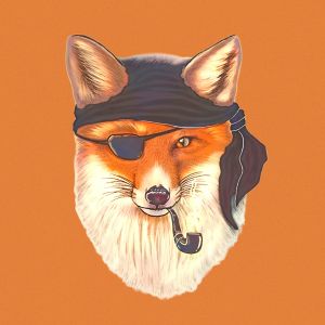 Telegram-канал Fox Software