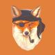 Telegram-канал Fox Software
