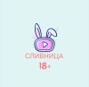 СЛИВНИЦА ( Слив шкур, Сливы XXX | Вписка )