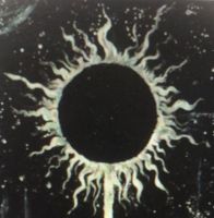 Темная эстетика (Dark World)