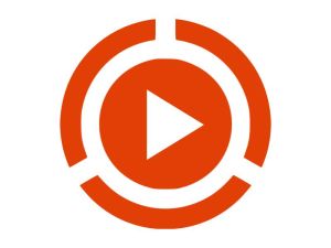 Бизнес на видео
