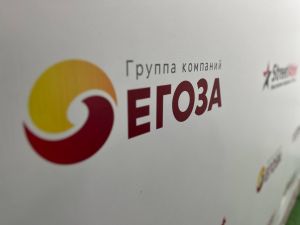 Детское игровое оборудование-Егоза