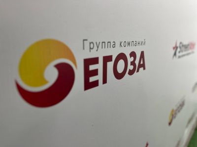 Детское игровое оборудование-Егоза