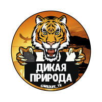 Дикая природа