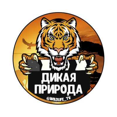 Дикая природа