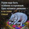 Volkovs Digest