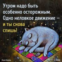 Volkovs Digest