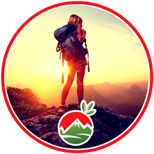 БРУСНИКА TRAVEL