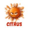 Telegram канал - Citrus