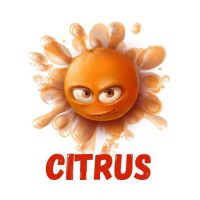 Telegram канал - Citrus