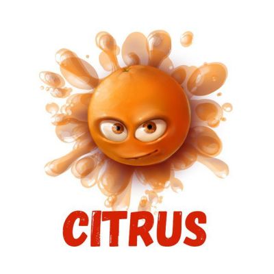 Telegram канал - Citrus