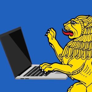 IT-шники Белгорода