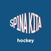 Telegram канал - SP1NA K1TA Hockey