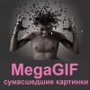 Telegram канал - MegaGIF