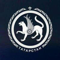 Новостной канал Республики Татарстан.