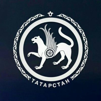 Новостной канал Республики Татарстан.