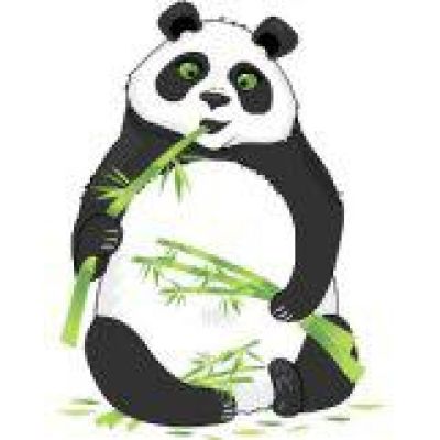 Pandaquizbot - Бот "Викторина от Панды".
