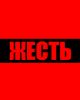 ЖЕСТЬ