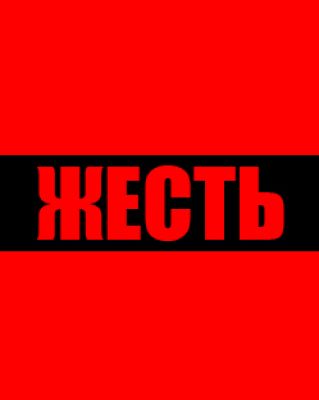 ЖЕСТЬ