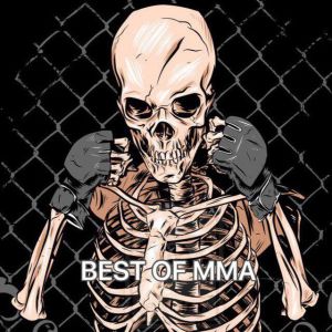 BEST OF MMA