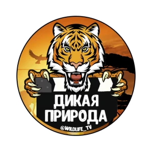 Дикая природа