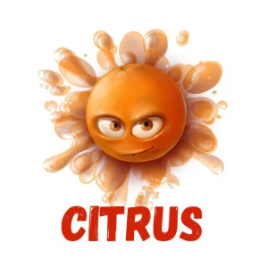 Telegram канал - Citrus