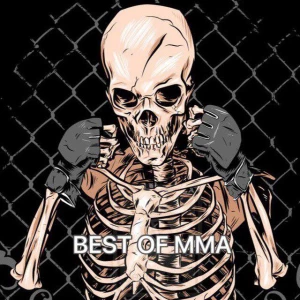 BEST OF MMA