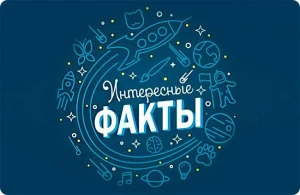 Интересные Факты