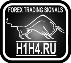 Авторский канал практикующего трейдера на рынке Forex
