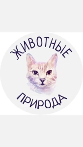 Природа и Животные