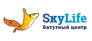 SkyLife Батутный Центр