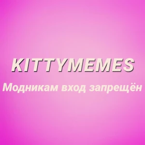 KittyMemes