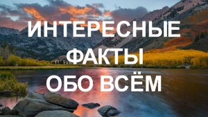 Умники и умницы