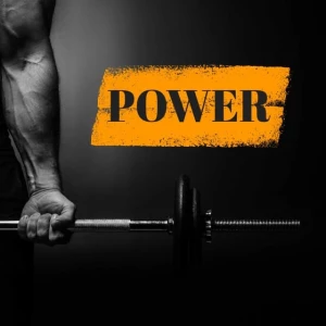 ROWER - БОДИБИЛДИНГ / ФИТНЕС / КРОССФИТ