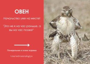 Telegram канал - Astroannalogiya
