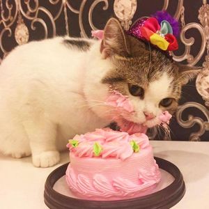 Telegram канал GIFS 89
