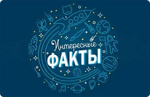Интересные Факты