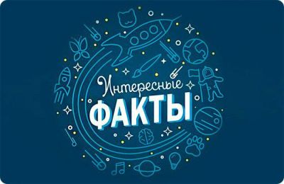 Интересные Факты