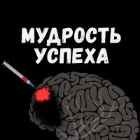 Мудрость успеха