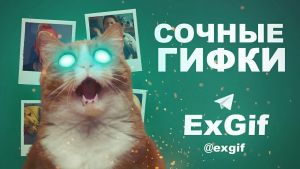 ExGifs | Гифки