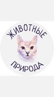 Природа и Животные