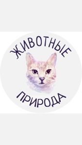 Природа и Животные
