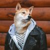 Telegram канал - Nyaa Blog