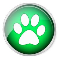 Telegram Bot - Los My Pet
