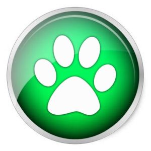 Telegram Bot - Los My Pet