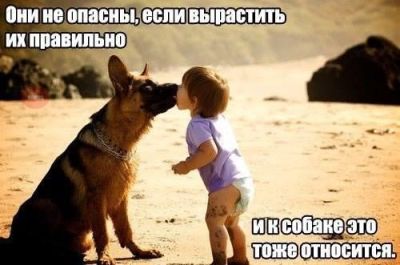 Человек Разумный